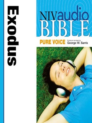 cover image of NIV Audio Bible, Pure Voice